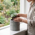 Casa si Gradina - Gradinarit si plante - Plante si ghivece - Ghivece si suporturi - Ghiveci Decorativ cu Textura de Beton, Gri, 12 cm - Infinity.ro