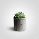 Casa si Gradina - Gradinarit si plante - Plante si ghivece - Ghivece si suporturi - Ghiveci Decorativ cu Textura de Beton, Gri, 12 cm - Infinity.ro