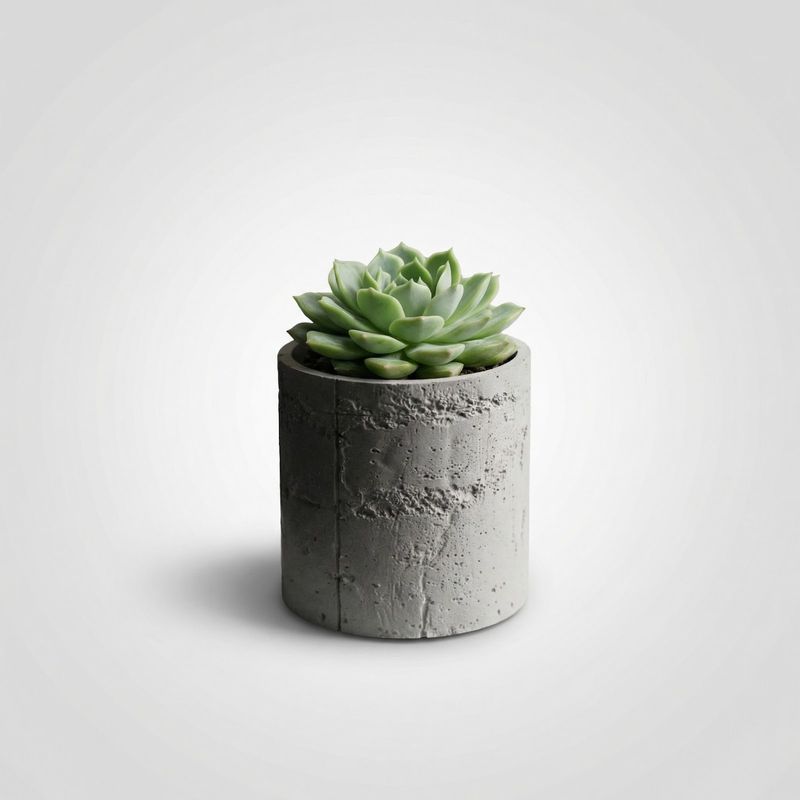 Casa si Gradina - Gradinarit si plante - Plante si ghivece - Ghivece si suporturi - Ghiveci Decorativ cu Textura de Beton, Gri, 12 cm - Infinity.ro