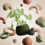 Casa si Gradina - Gradinarit si plante - Plante si ghivece - Ghivece si suporturi - Ghiveci Decorativ cu Textura Tip Plasa, Verde Olive, 12 cm - Infinity.ro