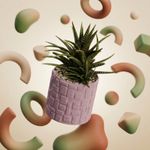 Casa si Gradina - Gradinarit si plante - Plante si ghivece - Ghivece si suporturi - Ghiveci Decorativ cu Model Geometric Striat, Mov Lila, 13 cm - Infinity.ro