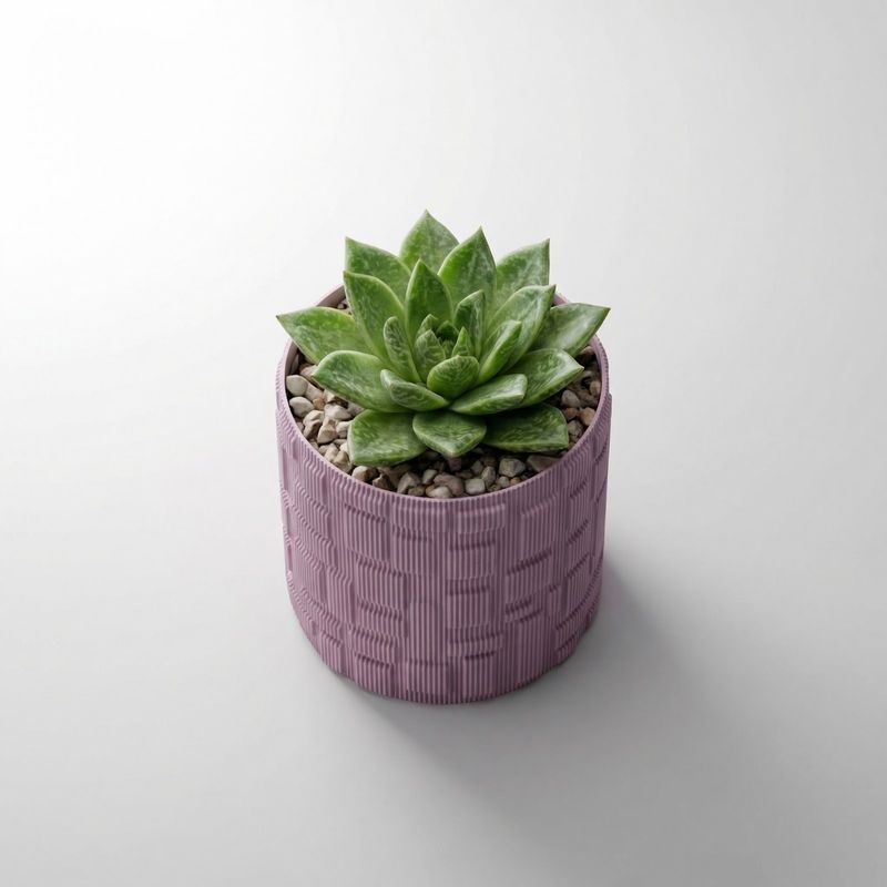 Casa si Gradina - Gradinarit si plante - Plante si ghivece - Ghivece si suporturi - Ghiveci Decorativ cu Model Geometric Striat, Mov Lila, 13 cm - Infinity.ro