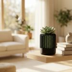Casa si Gradina - Gradinarit si plante - Plante si ghivece - Ghivece si suporturi - Ghiveci Decorativ cu Iluzie Optica, Negru Verde, 8 cm - Infinity.ro