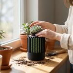 Casa si Gradina - Gradinarit si plante - Plante si ghivece - Ghivece si suporturi - Ghiveci Decorativ cu Iluzie Optica, Negru Verde, 8 cm - Infinity.ro