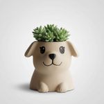 Casa si Gradina - Gradinarit si plante - Plante si ghivece - Ghivece si suporturi - Ghiveci Decorativ Puppy, Bej, 15 cm - Infinity.ro