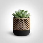 Casa si Gradina - Gradinarit si plante - Plante si ghivece - Ghivece si suporturi - Ghiveci Decorativ Modular Armonie Geometrica, Bej, 10 cm - Infinity.ro