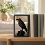 Carti si Birotica - Carti - Accesorii pentru cititori - Insert Decorativ pentru Raft cu Corb, Negru, 10 cm - Infinity.ro