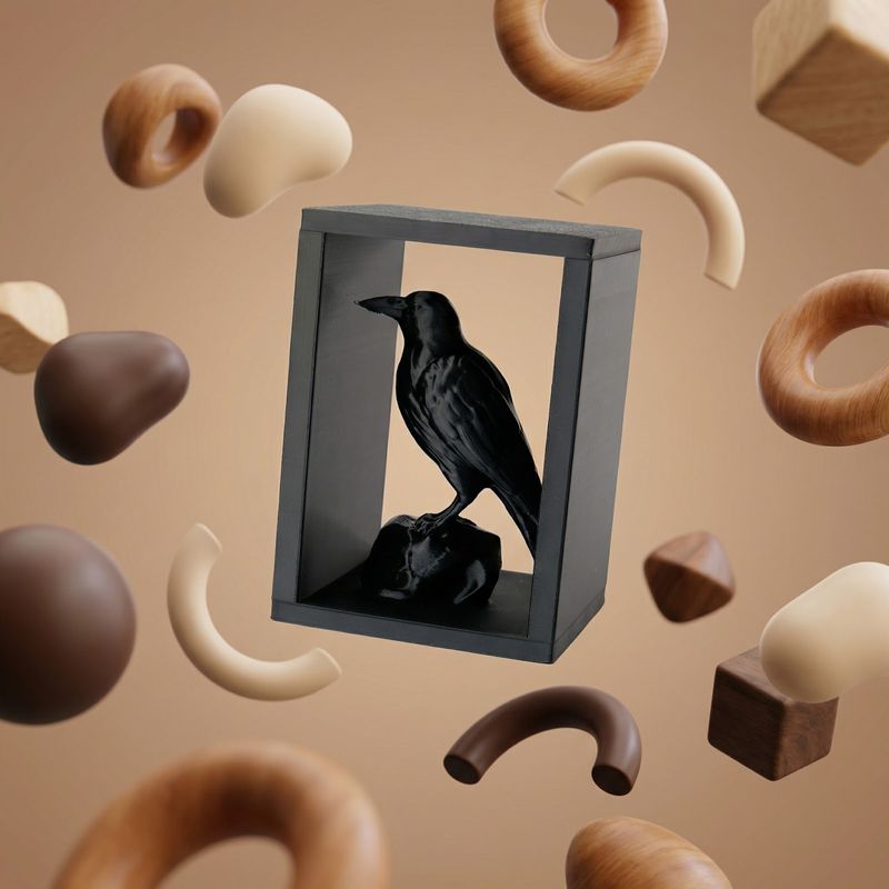Carti si Birotica - Carti - Accesorii pentru cititori - Insert Decorativ pentru Raft cu Corb, Negru, 10 cm - Infinity.ro