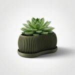 Casa si Gradina - Gradinarit si plante - Plante si ghivece - Ghivece si suporturi - Ghiveci Decorativ Minimalist cu Striatii, Verde inchis, 20 cm - Infinity.ro