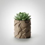 Casa si Gradina - Gradinarit si plante - Plante si ghivece - Ghivece si suporturi - Ghiveci Decorativ cu Textura Ondulata, Bej, 12 cm - Infinity.ro