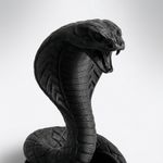 Casa si Gradina - Decoratiuni - Obiecte decorative - Accesorii decorative - Tava decorativa Serpentina, Neagra, 18 cm - Infinity.ro