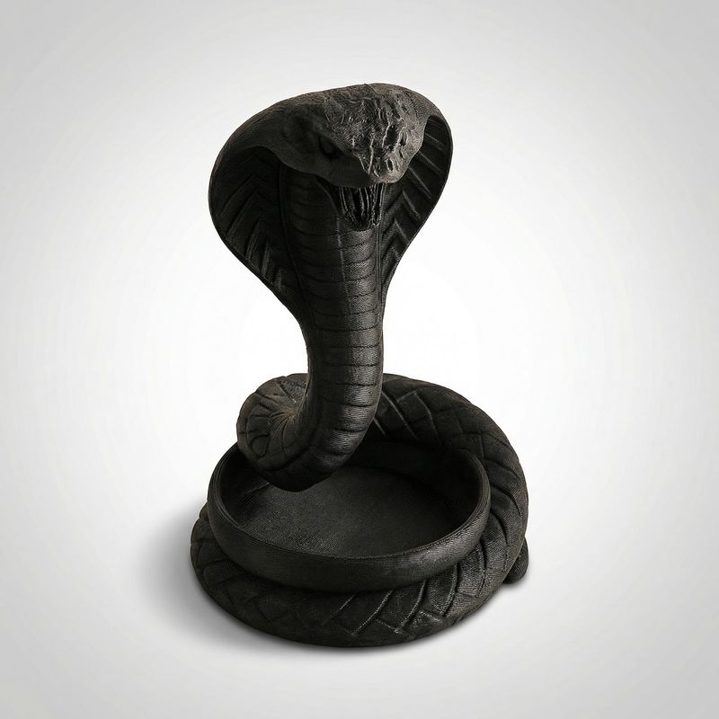 Casa si Gradina - Decoratiuni - Obiecte decorative - Accesorii decorative - Tava decorativa Serpentina, Neagra, 18 cm - Infinity.ro
