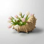 Casa si Gradina - Decoratiuni - Obiecte decorative - Vaze si boluri decorative - Bol Decorativ Scoica Spiralata, Bej nisipiu, 18 cm - Infinity.ro