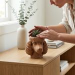 Casa si Gradina - Decoratiuni - Obiecte decorative - Vaze si boluri decorative - Bol Decorativ Tip Tava Cap de Caniche, Bej, 15 cm - Infinity.ro