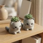 Casa si Gradina - Gradinarit si plante - Plante si ghivece - Ghivece si suporturi - Ghiveci Mini cu Pisicuta Jucausa, Gri, 7 cm - Infinity.ro