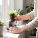 Casa si Gradina - Gradinarit si plante - Plante si ghivece - Ghivece si suporturi - Ghiveci Mini cu Pisicuta Jucausa, Gri, 7 cm - Infinity.ro