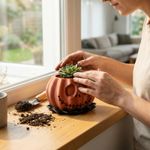 Casa si Gradina - Gradinarit si plante - Plante si ghivece - Ghivece si suporturi - Ghiveci Decorativ Halloween cu Fata Sculptata, Rosu, 11 cm - Infinity.ro