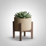 Casa si Gradina - Gradinarit si plante - Plante si ghivece - Ghivece si suporturi - Ghiveci cu Suport Elegant Striat, Bej, 15 cm - Infinity.ro