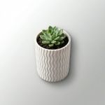 Casa si Gradina - Gradinarit si plante - Plante si ghivece - Ghivece si suporturi - Ghiveci de Perete Minimalist, Negru, 9 cm - Infinity.ro