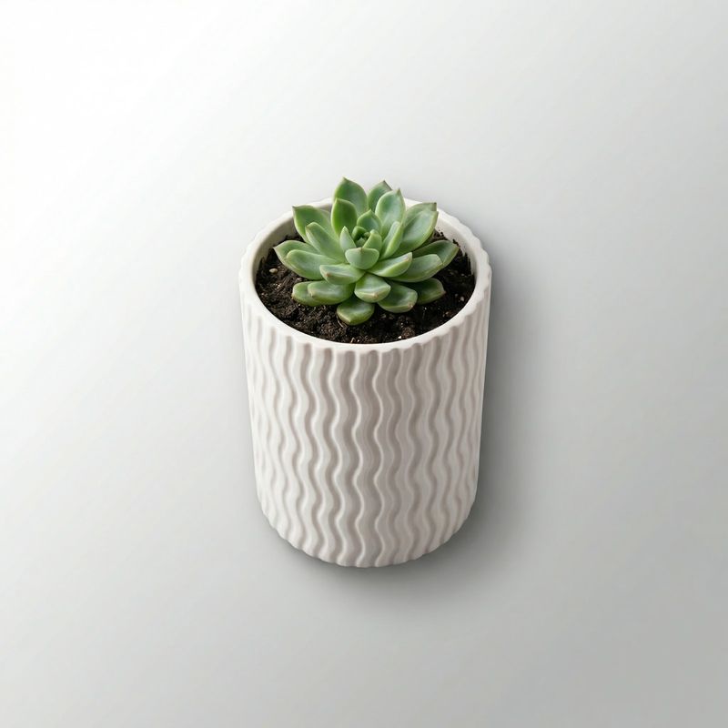 Casa si Gradina - Gradinarit si plante - Plante si ghivece - Ghivece si suporturi - Ghiveci de Perete Minimalist, Negru, 9 cm - Infinity.ro