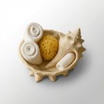 Casa si Gradina - Decoratiuni - Obiecte decorative - Vaze si boluri decorative - Bol Decorativ tip Scoica Sculpturala, Bej, 16 cm - Infinity.ro