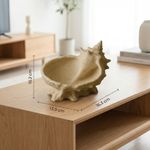 Casa si Gradina - Decoratiuni - Obiecte decorative - Vaze si boluri decorative - Bol Decorativ tip Scoica Sculpturala, Bej, 16 cm - Infinity.ro