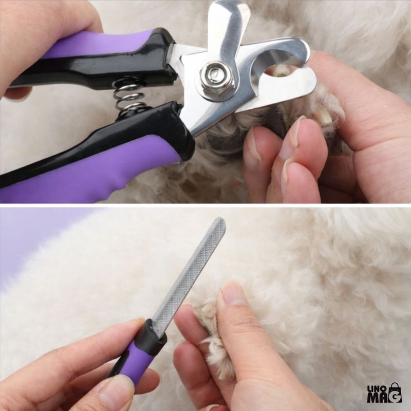 Petshop - Ingrijire si Igiena - Aparate de ingrijire - Alte aparate ingrijire animale - Set ingrijire caini/pisici Linomag®, 9 piese, grooming complet, perii, manusa, cleste unghii, foarfeca, pieptene, mov - Infinity.ro