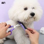 Petshop - Ingrijire si Igiena - Aparate de ingrijire - Alte aparate ingrijire animale - Set ingrijire caini/pisici Linomag®, 9 piese, grooming complet, perii, manusa, cleste unghii, foarfeca, pieptene, mov - Infinity.ro