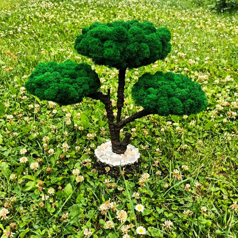 Casa si Gradina - Decoratiuni - Obiecte decorative - Accesorii decorative - Decoratiune interior, bonsai cu licheni stabilizati, 38 cm, verde - Infinity.ro