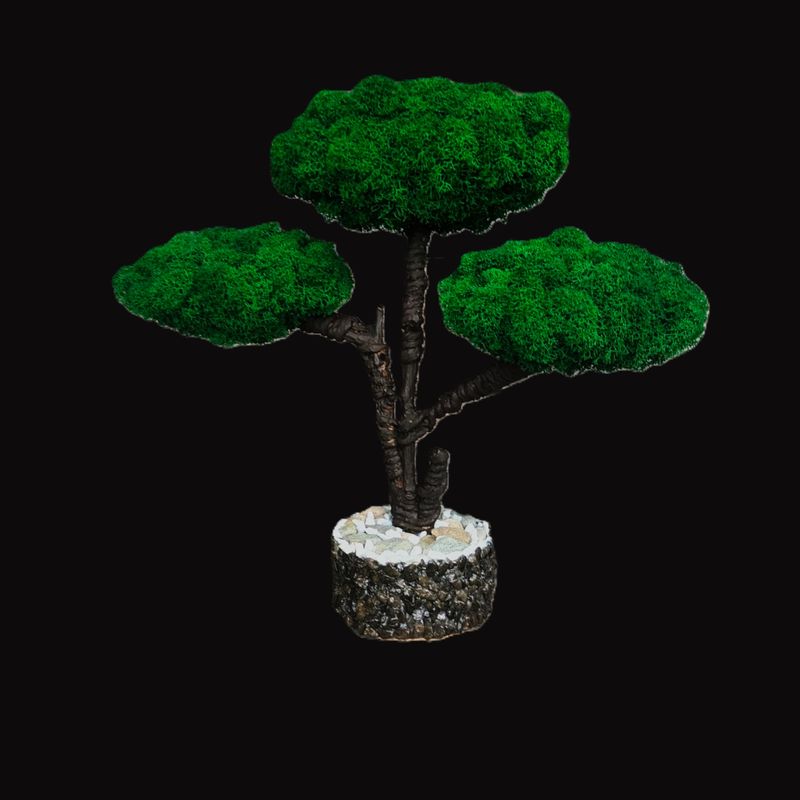 Casa si Gradina - Decoratiuni - Obiecte decorative - Accesorii decorative - Decoratiune interior, bonsai cu licheni stabilizati, 38 cm, verde - Infinity.ro