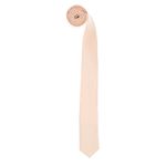 Fashion, accesorii si bijuterii - Barbati - Accesorii barbati - Cravate si papioane barbati - Cravata, din material sintetic, 145 x 5.5 cm, Bej - CRV315 - Infinity.ro