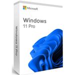 PC, gaming si accesorii - Software - Sisteme de operare - Microsoft® Windows 11 Pro, 64-bit, Engleza, USB - Infinity.ro