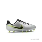 Sport si Outdoor - Echipament Sportiv - Incaltaminte sport - Pantofi sport - Ghete fotbal Nike Legend 10 Academy FG silver 36.5 Teren gazon natural - Infinity.ro