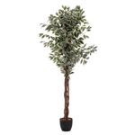 Casa si Gradina - Decoratiuni - Obiecte decorative - Plante artificiale - Planta artificiala ficus cu ghiveci, frunzis bogat in doua nuante de verde, poliester, fara intretinere, 97x86x185 cm - Infinity.ro