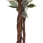 Casa si Gradina - Decoratiuni - Obiecte decorative - Plante artificiale - Planta artificiala ficus cu ghiveci, frunzis bogat in doua nuante de verde, poliester, fara intretinere, 97x86x185 cm - Infinity.ro