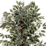Casa si Gradina - Decoratiuni - Obiecte decorative - Plante artificiale - Planta artificiala ficus cu ghiveci, frunzis bogat in doua nuante de verde, poliester, fara intretinere, 97x86x185 cm - Infinity.ro