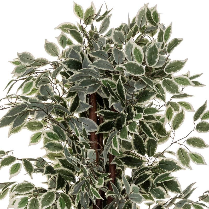 Casa si Gradina - Decoratiuni - Obiecte decorative - Plante artificiale - Planta artificiala ficus cu ghiveci, frunzis bogat in doua nuante de verde, poliester, fara intretinere, 97x86x185 cm - Infinity.ro
