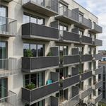 Casa si Gradina - Decoratiuni - Pereti despartitori si paravane - Paravan plasa umbrire pentru balustrada balcon, 95% umbrire, impermeabila, 300x100 cm, antracit - Infinity.ro