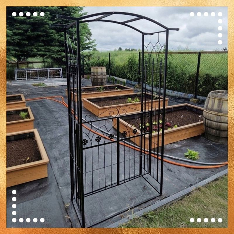 Casa si Gradina - Gradina si terasa - Decoratiuni exterior - Arcade - Pergola gradina metalica cu poarta decorativa, suport plante cataratoare, otel vopsit, 106x50x217 cm, negru - Infinity.ro