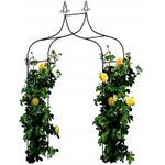 Casa si Gradina - Gradina si terasa - Decoratiuni exterior - Arcade - Pergola gradina metalica cu varfuri decorative, otel vopsit cu pulbere, 150x37x240 cm, negru - Infinity.ro