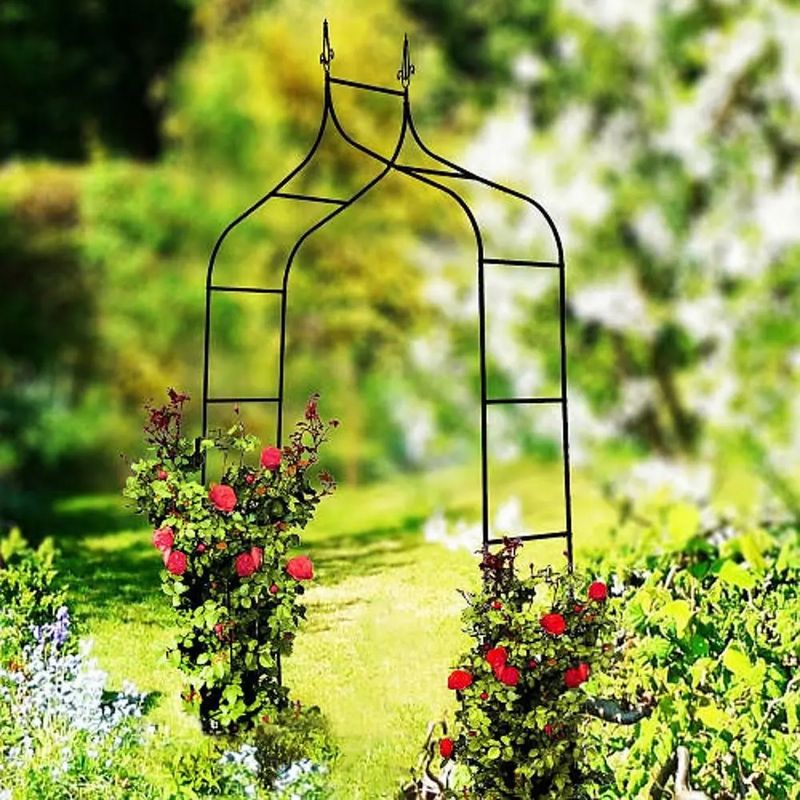 Casa si Gradina - Gradina si terasa - Decoratiuni exterior - Arcade - Pergola gradina metalica cu varfuri decorative, otel vopsit cu pulbere, 150x37x240 cm, negru - Infinity.ro