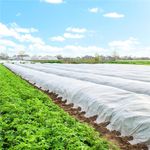 Casa si Gradina - Gradinarit si plante - Sere si solarii - Agrotextil alb polipropilena 70g/m2 protectie UV, ventilatie plante, rezistent intemperii, 50x1.1 m - Infinity.ro