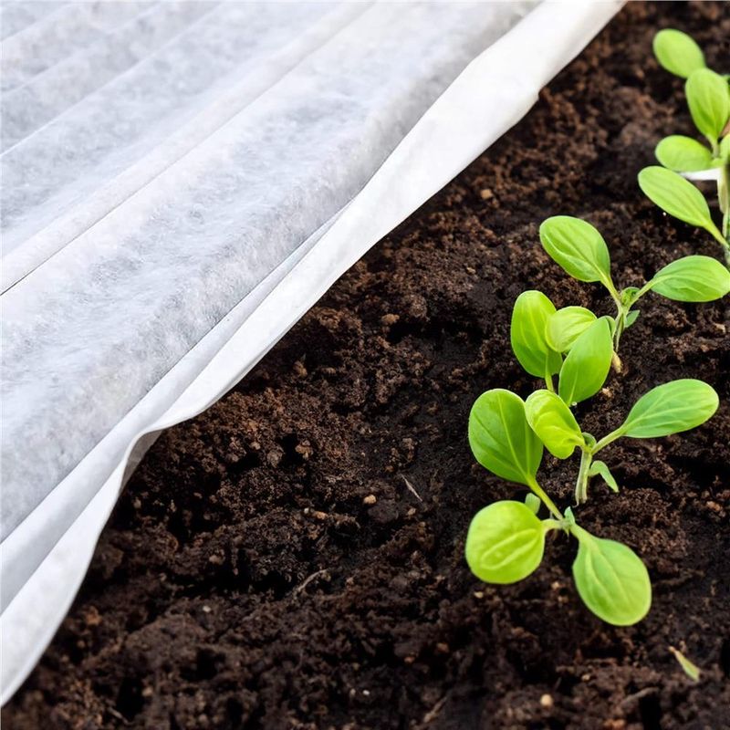 Casa si Gradina - Gradinarit si plante - Sere si solarii - Agrotextil alb polipropilena 70g/m2 protectie UV, ventilatie plante, rezistent intemperii, 50x1.1 m - Infinity.ro