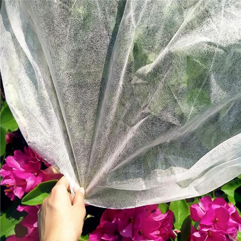 Casa si Gradina - Gradinarit si plante - Sere si solarii - Agrotextil alb polipropilena 70g/m2 protectie UV, ventilatie plante, rezistent intemperii, 50x1.1 m - Infinity.ro