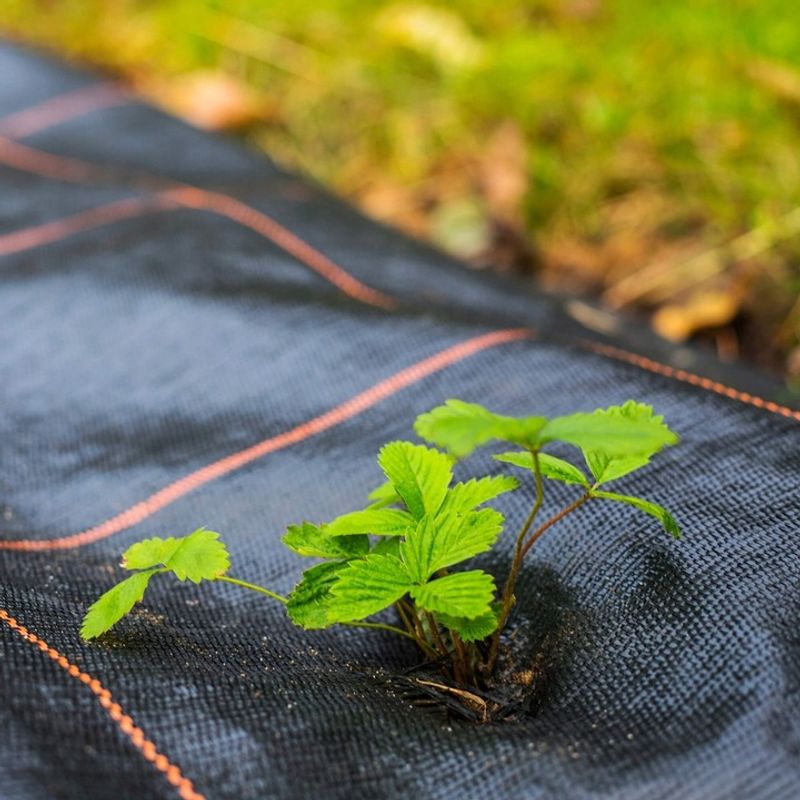Casa si Gradina - Gradinarit si plante - Sere si solarii - Agrotextil antiburuieni polipropilena 90g/m2 cu protectie UV, mentine umiditatea solului, 100x1.6 m, negru - Infinity.ro