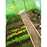 Casa si Gradina - Gradinarit si plante - Sere si solarii - Sera gradina tip tunel 400x1000x200 cm, folie PE 140g/m2 UV4, 16 ferestre, usa fermoar, 40 mp, verde - Infinity.ro