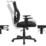 Casa si Gradina - Mobilier - Scaune si fotolii - Scaune - Scaun de birou ergonomic mesh, reglabil complet, brate si suport lombar ajustabile, 68x67x113 cm, negru - Infinity.ro