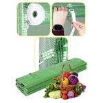 Casa si Gradina - Gradinarit si plante - Sere si solarii - Folie inlocuire sera 200x200x200 cm, PE 140g/m2 cu plasa PP, filtru UV4, 4 ferestre si usa fermoar, verde - Infinity.ro