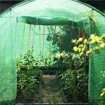 Casa si Gradina - Gradinarit si plante - Sere si solarii - Folie inlocuire sera 200x200x200 cm, PE 140g/m2 cu plasa PP, filtru UV4, 4 ferestre si usa fermoar, verde - Infinity.ro