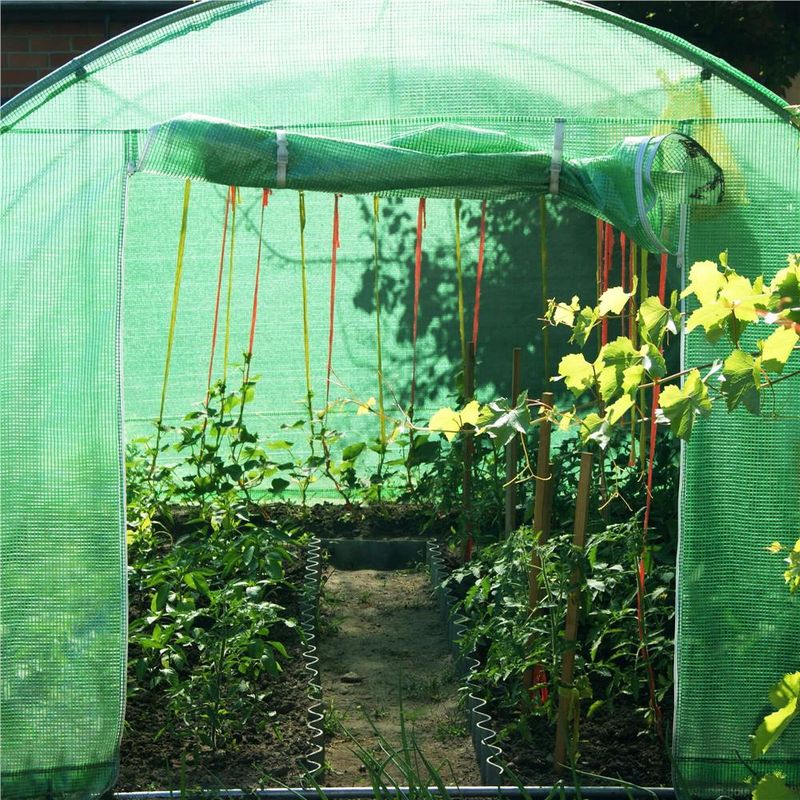Casa si Gradina - Gradinarit si plante - Sere si solarii - Folie inlocuire sera 200x200x200 cm, PE 140g/m2 cu plasa PP, filtru UV4, 4 ferestre si usa fermoar, verde - Infinity.ro